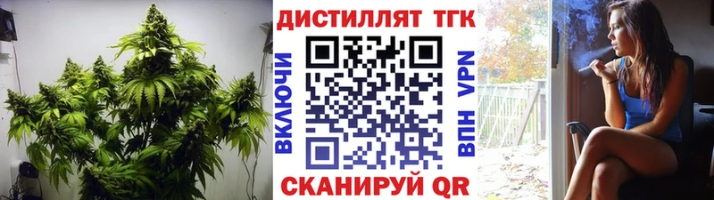 как найти закладки  Светогорск  Дистиллят ТГК вейп 