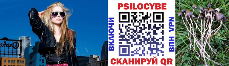 Псилоцибиновые грибы ЛСД мориарти какой сайт Светогорск как найти